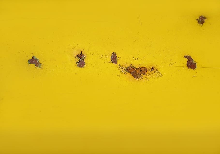 baggrund, rust, gul, tekstureret baggrund, ingen mennesker, dyr, dyre temaer, gruppe af dyr, natur, fuld ramme, baggrunde, kopiere plads, tæt på, høj vinkel visning, skønhed i naturen, dyreliv, dyr kropsdel, i en række, udendørs, dag, jord, tekstureret, gul baggrund, 1080P