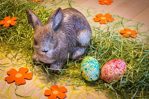 llebre, Pasqua, primavera, ou, ou de Pasqua, animal, celebració, temes d'animals, menjar, multicolor, vertebrats, mamífer, vista d’angle alt, festa, cap gent, mascotes, menjar i beguda, animals domèstics, a l'interior, nacional, 1080P, CC0, domini públic, lliure de regalies