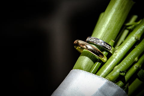 green, rings, love, commitment, green color, food and drink, vegetable, food, close-up, no people, healthy eating, freshness, wellbeing, indoors, studio shot, black background, still life, organic, raw food, zucchini, focus on foreground, cucumber, shiny, togetherness, 5K, CC0, public domain, royalty free