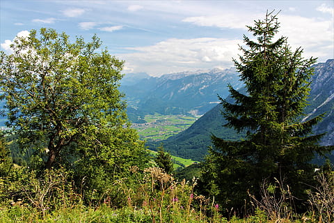 alpine, ross felt, tre, anlegg, skjønnhet i naturen, vekst, fjell, naturskjønnhet - natur, sky - himmel, ro, himmel, rolig scene, grønn farge, natur, dag, miljø, ikke-urbane scene, ingen folk, landskap, land, idylliske, fjellkjede, utendørs, 5K, CC0, offentlig domene, opphavsrett gratis