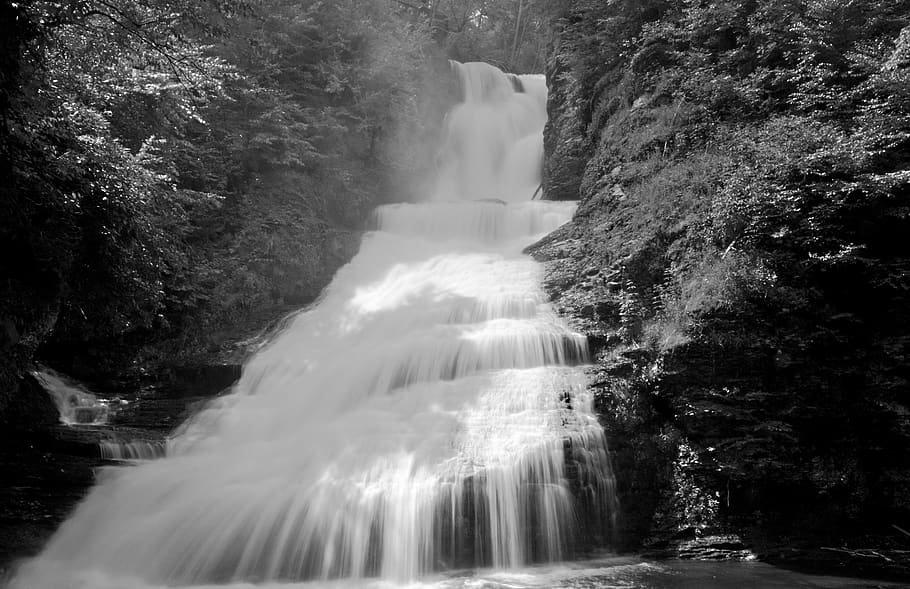 cascada, aigua, caiguda, canaleta, corrent, streaming, que flueix, dinàmica, líquid, blanc i negre, escenics - natura, moviment, exposició llarga, bellesa a la natura, aigua que flueix, bosc, rock, naturalesa, moviment borrós, rock - object, cap gent, poder, arbre, sòlid, esquitxades, medi ambient, poder a la natura, a l'aire lliure, caient aigua, selva tropical, aigua corrent, 8K