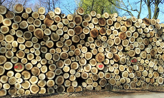 hout, stack, trunks, overvloed, boom, grote groep objecten, Bos, logboek, houtindustrie, brandhout, ontbossing, geen mensen, hout - materiaal, dag, buitenshuis, milieu problemen, natuur, hoop, brandstapel, patroon, 2K, CC0, publiek domein, royaltyvrij