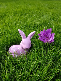 grass, meadow, easter, field, plant, green color, nature, land, growth, flower, flowering plant, pink color, animal representation, no people, beauty in nature, day, representation, close-up, freshness, animal, vulnerability, fragility, outdoors, flower head, 4K, CC0, public domain, royalty free