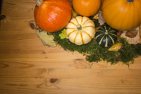 pumpkin, pumpkins, background, autumn, patch, fall, food, blue, halloween, white, decoration, orange, nature, vacations, field, symbol, yellow, decorative, season, outdoor, harvest, food and drink, healthy eating, freshness, wellbeing, wood - material, vegetable, table, indoors, high angle view, orange color, still life, no people, fruit, organic, close-up, choice, 5K, CC0, public domain, royalty free
