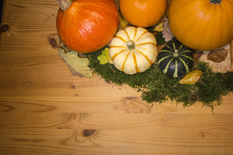 zucca, zucche, sfondo, autunno, toppa, cibo, blu, Halloween, bianca, decorazione, arancia, natura, vacanze, campo, simbolo, giallo, decorativo, stagione, all'aperto, raccogliere, cibo e bevande, mangiare sano, freschezza, benessere, legno - materiale, verdura, tavolo, in casa, vista dall'alto, colore arancione, natura morta, nessuno, frutta, biologico, avvicinamento, scelta, 5K