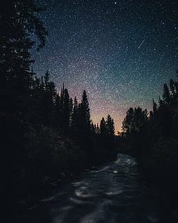 river between trees, nature, outdoors, tree, fir, abies, plant, universe, outer space, astronomy, space, night, scenery, nebula, starry sky, wilderness, conifer, landscape, land, milky way, pine, sky, beauty in nature, star - space, scenics - nature, tranquility, tranquil scene, silhouette, no people, star, growth, galaxy, idyllic, star field, constellation, dark, 4K, CC0, public domain, royalty free