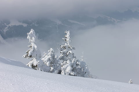 vinterlige, dyb sne, kold temperatur, vinter, sne, skønhed i naturen, ro, scenics - natur, rolig scene, bjerg, miljø, landskab, natur, ingen mennesker, ikke-urbane scene, dag, dækker, hvid farve, himmel, træ, plante, snedækket bjerg, ekstremt vejr, sner, 4K, CC0, offentligt domæne, royaltyfrie