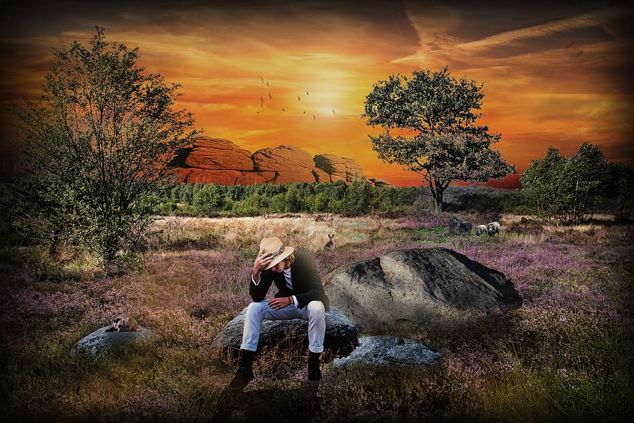 tramonto, albero, natura, alba, crepuscolo, comporre, roma table, idilliaco, pianta, cielo, lunghezza intera, bellezza nella natura, roccia, persone reali, stili di vita, nuvola - cielo, attività di svago, terra, persone, la tranquillità, solido, roccia - oggetto, due persone, abbigliamento casual, seduta, all'aperto, coppia - relazione, braccio umano, 2K