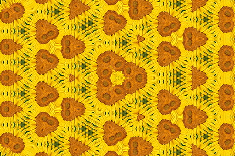 modelo, textura, fondo, Art º, papel pintado, retro, ornamento, flor, vendimia, textiles, color, brillante, floral, artísticamente, textil, amarillo, adentro, nadie, fotograma completo, de cerca, antecedentes, directamente arriba, foto de estudio, gran grupo de objetos, diseño, naturaleza muerta, marrón, variación, vista de alto ángulo, abundancia, forma, planta, patrón floral, 5K, CC0, dominio público, libre de derechos