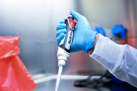 lab, pipette, experiment, test, hand, holding, human hand, one person, human body part, occupation, close-up, surgical glove, indoors, protection, focus on foreground, protective glove, adult, men, science, healthcare and medicine, working, glove, protective workwear, care, finger, 5K, CC0, public domain, royalty free
