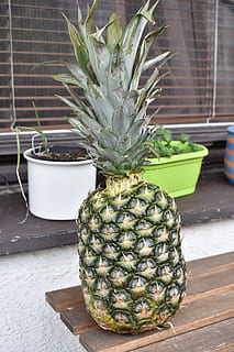 Ananas, meyve, yiyecek ve içecek, tropikal meyve, Gıda, sağlıklı beslenme, yeşil renk, tazelik, insansız, refah, kapatmak, gün, saksı bitkisi, ön plana odaklanmak, tablo, natürmort, açık havada, büyüme, doğa, çiğ yemek, 5K, CC0, kamu malı, telif ücretsiz