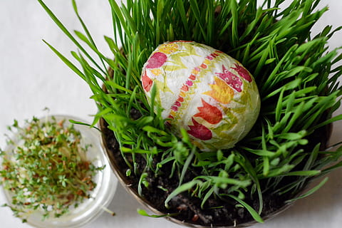Osterferien, Eier, Osterei, Ostern, Dekoration, Ei, Cuckooflower, Lebensmittel, Essen und Trinken, grüne Farbe, Nahansicht, Feier, Pflanze, Frische, Stillleben, keine Leute, Urlaub, drinnen, High Angle View, gesundes Essen, Natur, Ferienveranstaltung, 4K, CC0, gemeinfrei, lizenzfrei