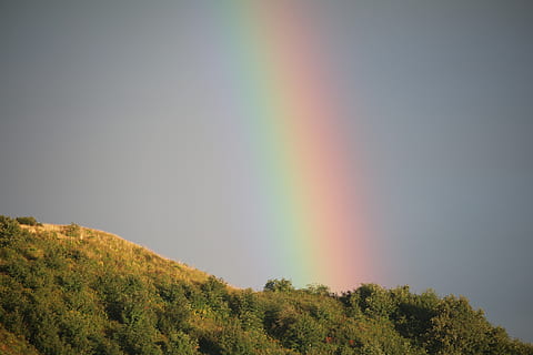 curcubeu, ploaie, Munte, copac, frumusețe în natură, multi colorate, plantă, scenice - natura, liniște, cer, natură, o scenă liniștită, nici o persoana, mediu inconjurator, zi, fenomen natural, idilic, creştere, scenă non-urbană, în aer liber, peisaj, vârful copacului, 5K, CC0, domeniu public, fără drepturi de autor