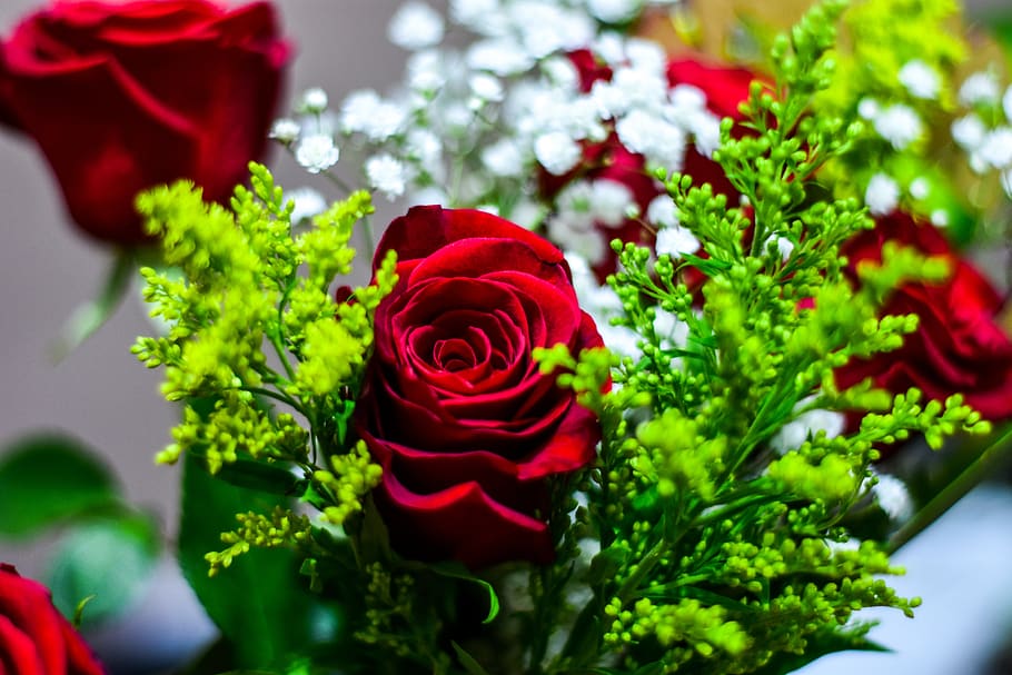 rosa, ดอกไม้, ปลูก, สีแดง, ไม้ดอก, ความงามในธรรมชาติ, ดอกกุหลาบ, ความอ่อนแอ, ความบอบบาง, ความสด, ใกล้ชิด, กลีบดอกไม้, การเจริญเติบโต, หัวดอกไม้, ธรรมชาติ, สีเขียว, ช่อดอก, ไม่มีคน, วัน, เลือกโฟกัส, กลางแจ้ง, จัดดอกไม้, ช่อดอกไม้, 5K