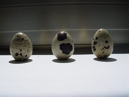 egg, oval, easter eggs, indoors, still life, studio shot, no people, food and drink, two objects, food, three objects, close-up, group of objects, table, healthy eating, vegetable, side by side, wellbeing, freshness, copy space, focus on foreground, nature, four objects, 2K, CC0, public domain, royalty free