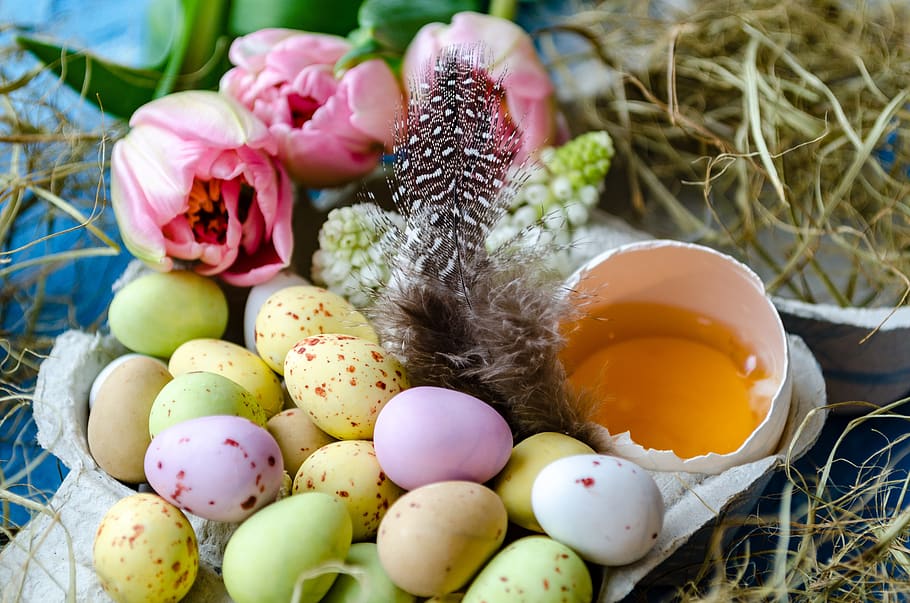 Feliç Pasqua, Pasqua, ous de Pasqua, ou de Pasqua, ou, posar ous, ous de xocolata, ou colorit, planta amb flors, flor, planta, naturalesa, menjar, cap gent, festa, celebració, primer pla, enfocament selectiu, frescor, vulnerabilitat, dia, niu d’animals, multicolor, primavera, a l'aire lliure, 5K