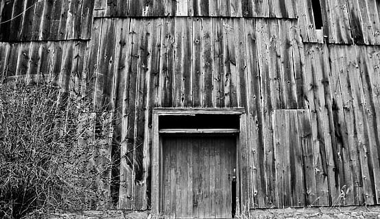 barn, rustic, rural, rough, timber, texture, board, wooden, scenic, wood - material, built structure, architecture, no people, day, entrance, door, building exterior, old, safety, weathered, abandoned, security, outdoors, pattern, protection, building, damaged, wall - building feature, plant, wood, deterioration, corrugated, 2K, CC0, public domain, royalty free