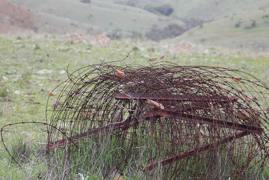 barbada, cable, rovellat, tanca, agut, Outback, turons, rural, rústic, centrar-se en primer pla, planta, naturalesa, terra, dia, cap gent, camp, tranquil·litat, arbre, a l'aire lliure, primer pla, herba, material de fusta, enfocament selectiu, color verd, paisatge, espatllat, abandonat, bosc, medi ambient, escorça, 5K