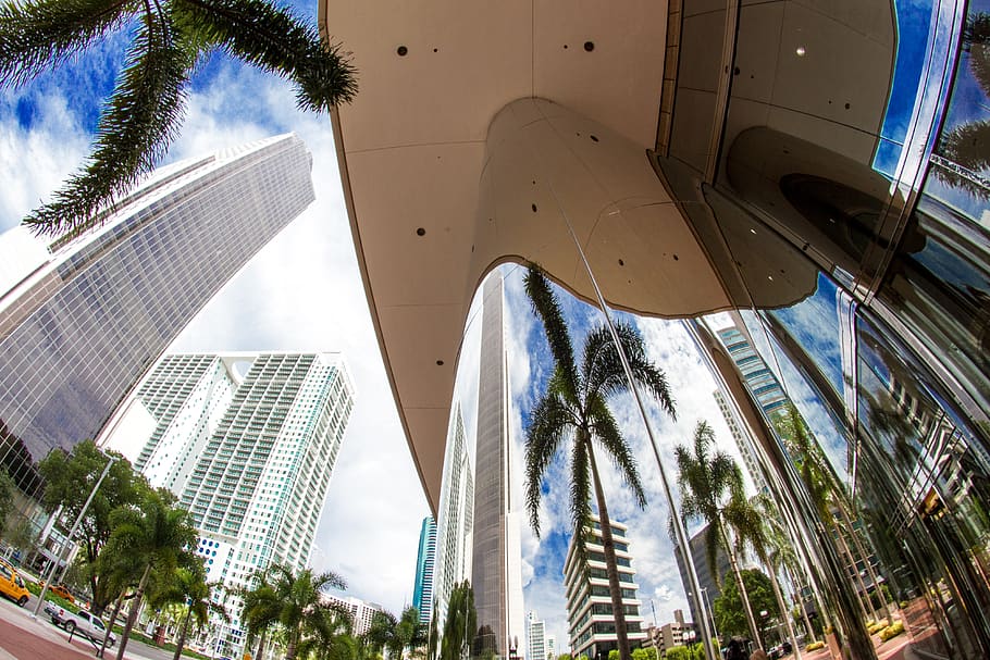 ciutats, miami, estructura construïda, arquitectura, exterior de l'edifici, edifici, modern, ciutat, arbre, planta, vista d’angle baix, naturalesa, cel, exterior d’edifici d’oficines, clima tropical, gratacels, alta - alta, Palmera, vidre - material, dia, oficina, cap gent, a l'aire lliure, luxe, 4K