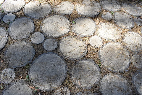pista, pavimentado, superficie, pavimentación, árbol, rebanada, textura, material, diseño, la estructura de la, Novosibirsk, zoo, fotograma completo, antecedentes, texturizado, nadie, día, modelo, de cerca, naturaleza, material de madera, sólido, bosque, circulo, forma, al aire libre, forma geometrica, gran grupo de objetos, madera, rock, deforestación, 5K, CC0, dominio público, libre de derechos