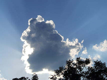 nube, dias, cielo, nube - cielo, vista de ángulo bajo, árbol, belleza en la naturaleza, paisajes - naturaleza, tranquilidad, planta, naturaleza, nadie, día, escena tranquila, luz del sol, al aire libre, idílico, azul, el color blanco, crecimiento, escena no urbana, soleado, copa del árbol, meteorología, 2K, CC0, dominio público, libre de derechos