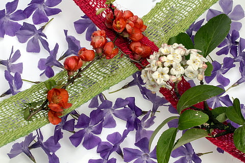 blommor, komposition, dekoration, vår, blomma, växt, växtdel, blommande växt, blad, friskhet, skönhet i naturen, natur, inget folk, tillväxt, närbild, bräcklighet, sårbarhet, dag, röd, kronblad, grön färg, lila, blomhuvud, mat och dryck, utomhus, 5K, CC0, offentligt domän, royaltyfria