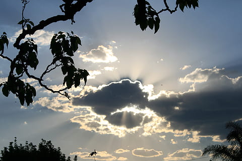 nuvole, buio, orlatura, luminosa, brillante, raggi di luce, radiante, cielo, blu, ramo, nuvola - cielo, pianta, bellezza nella natura, albero, tramonto, la tranquillità, silhouette, crescita, nessuno, Inquadratura dal basso, natura, scenics - natura, scena tranquilla, luce del sole, all'aperto, foglia, giorno, parte vegetale, 4K, CC0, dominio pubblico, privo di copyright