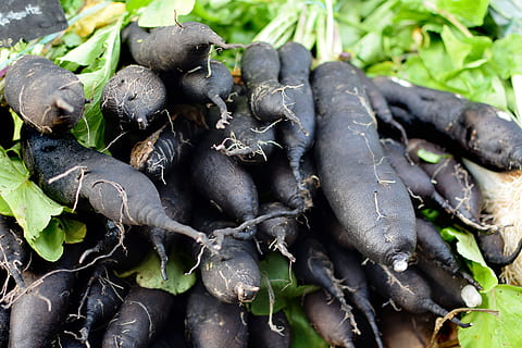 haverrot, rotsak, vegetabiliska, inget folk, närbild, dag, mat och dryck, svart färg, mat, friskhet, äta nyttigt, natur, växtdel, växt, utomhus, blad, fokusera på förgrunden, välbefinnande, grön färg, fortfarande liv, bakgrunder, högvinkelvy, 5K, CC0, offentligt domän, royaltyfria