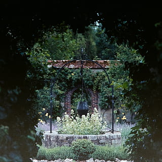 grønt træparti, veranda, gårdhave, udendørs, pergola, have, Lysthuset, plante, natur, Spir, arkitektur, bygning, tårn, krypt, flise, pude, skifer, kalksten, havepavillon, træ, ingen mennesker, hængende, dag, metal, vækst, bygget struktur, gammel, rusten, selektiv fokusering, vand, forladt, fokus på forgrunden, jord, godt, 5K, CC0, offentligt domæne, royaltyfrie