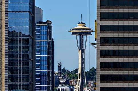 Seattle, Torre, architettura, esterno dell'edificio, struttura costruita, costruzione, edificio per uffici esterno, città, alto - alto, moderno, giorno, grattacielo, destinazioni di viaggio, cielo, nessuno, ufficio, natura, vetro - materiale, all'aperto, blu, turismo, guglia, distretto finanziario, 2K, CC0, dominio pubblico, privo di copyright