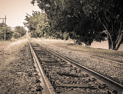 caminho, trem, Tempo, saudade, Transporte ferroviário, rastrear, árvore, ferrovia, plantar, transporte, direção, o caminho a seguir, natureza, ninguém, Perspectiva Diminutiva, dia, ponto de fuga, modo de transporte, ao ar livre, viagem, transporte público, céu, meio Ambiente, cascalho, longo, paralelo, 4K, CC0, domínio público, royalty free