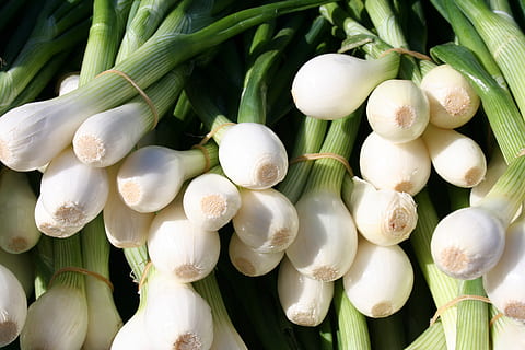 cibule parta, zelená, bílý, zelenina, bílá barva, svěžest, detail, nikdo, rostlina, jídlo a pití, Příroda, celý rám, den, jídlo, syrové potraviny, velká skupina objektů, zeleniny, pozadí, na prodej, zelená barva, krása v přírodě, blahobyt, květ, Zdravé stravování, 2K, CC0, veřejná doména, bez autorských práv