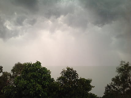 chuva, tropical, tempestade, nuvens, céu, dramático, árvore, plantar, nuvem - céu, beleza na natureza, natureza, crescimento, tranquilidade, scenics - natureza, ninguém, ao ar livre, dia, cena tranquila, idílico, Nuvem de tempestade, meio Ambiente, cena não urbana, nublado, copa de árvore, 2K, CC0, domínio público, royalty free