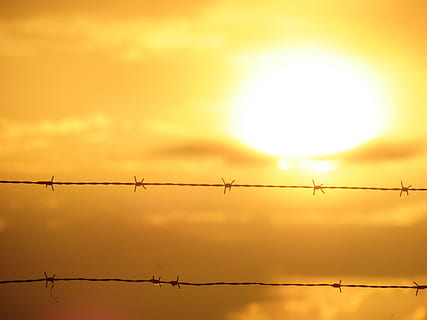 sol, krajobraz, światło, płot, zachód słońca, drut, drut kolczasty, ochrona, granica, niebo, bezpieczeństwo, metal, kolor pomarańczowy, bariera, słońce, Natura, żadnych ludzi, żółty, sylwetka, chmura - niebo, na dworze, światło słoneczne, stop, 4K, CC0, domena publiczna, darmowe zdjęcia