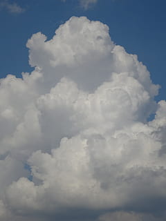 skyer, himmel, hvid, glomerulus, sky - himmel, skønhed i naturen, scenics - natur, ro, rolig scene, ingen mennesker, natur, lav vinkel visning, blå, idyllisk, dag, hvid farve, baggrunde, udendørs, fluffy, cloudscape, fuld ramme, blødhed, meteorologi, 4K, CC0, offentligt domæne, royaltyfrie