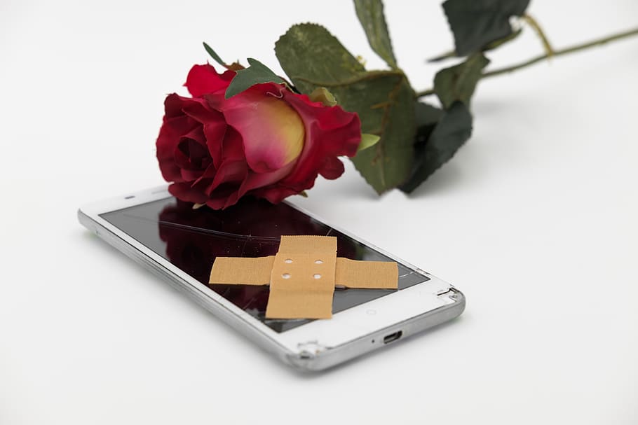 lappe, forening, Rose, blomst, blomstre, flor, farvel, sig farvel, kærlighed, mobiltelefon, smartphone, gsm, telefon, mobil enhed, Skærm, gået i stykker, defekt, rosenblomst, blomstrende plante, skønhed i naturen, plante, studio skud, hvid baggrund, tæt på, indendørs, natur, friskhed, kronblad, stilleben, ingen mennesker, rød, høj vinkel visning, blomsterhoved, sårbarhed, blomster arrangement, buket, 5K