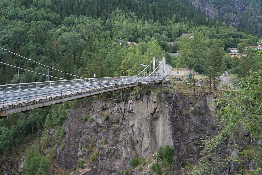 ponte, scogliera, ripido, connessione, albero, mezzi di trasporto, ponte - struttura fatta dall'uomo, pianta, foresta, struttura costruita, natura, colore verde, crescita, nessuno, giorno, architettura, terra, bellezza nella natura, strada, scena non urbana, montagna, scenics - natura, all'aperto, passerella, 5K