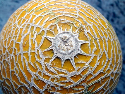 Power Melone, Obst, Sonnenform, Nahansicht, Muster, keine Leute, Natur, einzelnes Objekt, Lebensmittel, abstrakt, Essen und Trinken, gestalten, Tier, Tierthemen, Kreuzung, extreme Nahaufnahme, gesundes Essen, Hintergründe, natürliches Muster, Gemüse, Melone, Makro, Vergrößerung, Marine, 4K, CC0, gemeinfrei, lizenzfrei