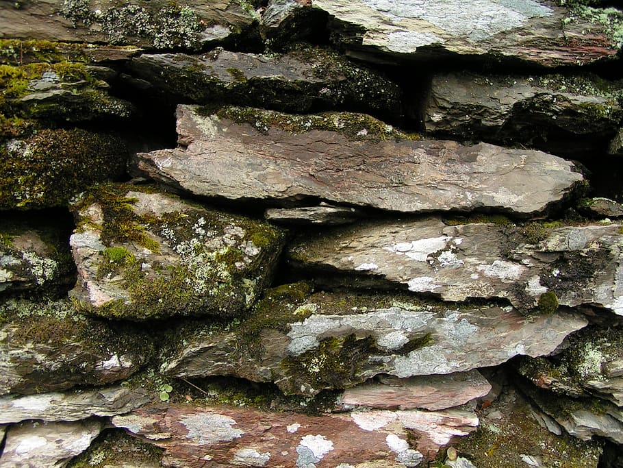 paret, pedra, paret de pedra, treball de pedra, textura, patró, cap gent, marc complet, sòlid, rock, primer pla, fons, dia, naturalesa, molsa, rock - object, aspre, creixement, a l'aire lliure, vista d’angle alt, planta, gran grup d'objectes, pedra - objecte, pila, liquen, 1080P