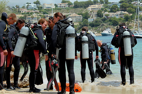 immersione, scuola di sub, spiaggia, gruppo di persone, persone reali, acqua, folla, grande gruppo di persone, immersioni in subacquea, subacqueo, mare, uomini, lunghezza intera, attività di svago, natura, giorno, avventura, sport acquatico, muta, stili di vita, gruppo, all'aperto, uniforme, 2K, CC0, dominio pubblico, privo di copyright