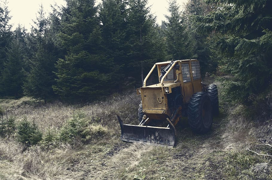 terna, trattore, costruzione, rurale, alberi, erba, pianta, albero, terra, natura, giorno, foresta, macchinario, campo, nessuno, crescita, industria, paesaggio, all'aperto, ambiente, colore verde, mezzi di trasporto, luce del sole, attrezzatura agricola, abbandonato, 1080P