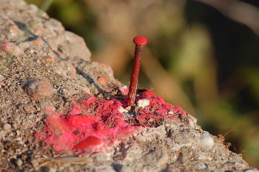 Nagel, Rost, rot, rostig, Nägel, Nahansicht, solide, keine Leute, Fokus auf den Vordergrund, Tag, Natur, Rock - Objekt, Rock, selektiver Fokus, Metall, draußen, texturiert, Wachstum, Rau, Pflanze, wirbellos, Sonnenlicht, Schönheit in der Natur, 2K