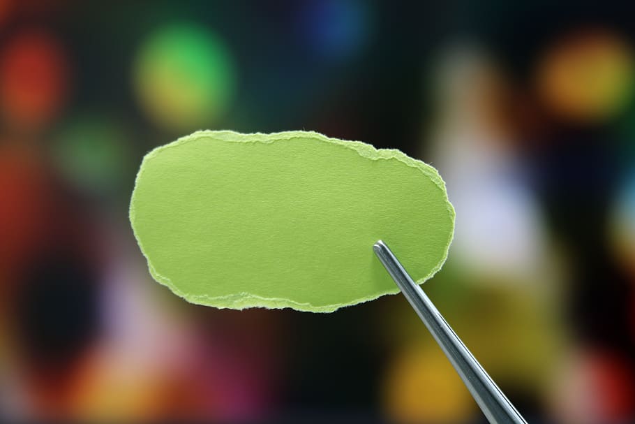 notes, pantalla, paper, nota, registre, desitjar, missatge, paper de notes, la frase, carta, concentració, centrar-se en primer pla, primer pla, color verd, planta, full, part de la planta, creixement, dia, bellesa a la natura, naturalesa, cap gent, a l'aire lliure, frescor, fragilitat, vulnerabilitat, flor, tija de la planta, inicis, enfocament selectiu, tranquil·litat, 5K