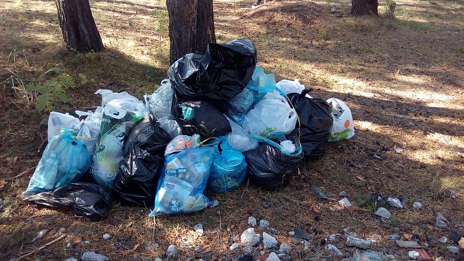 odpadky, životního prostředí, sběr odpadu, Příroda, přistát, den, otázky životního prostředí, strom, pole, vysoký úhel pohledu, Taška, znečištění, venku, životní prostředí, rostlina, skutečných lidí, plastický, pytel na odpadky, halda, nakládání s odpady, Igelitová taška, 2K